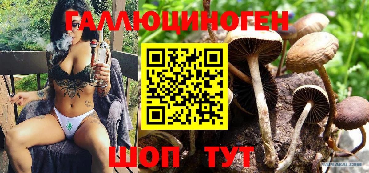 Псилоцибиновые грибы ЛСД  Вход с VPN  магазин продажи   Сунжа 